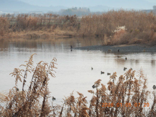 DSCN1426.JPG