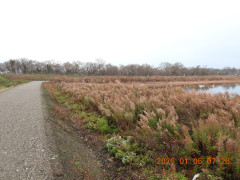 DSCN1429.JPG