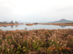DSCN1430.JPG