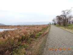 DSCN1431.JPG