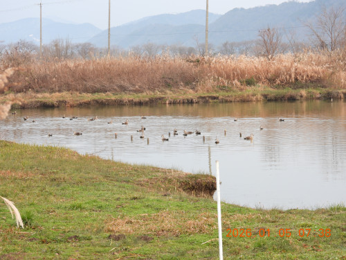 DSCN1434.JPG