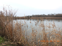 DSCN1437.JPG