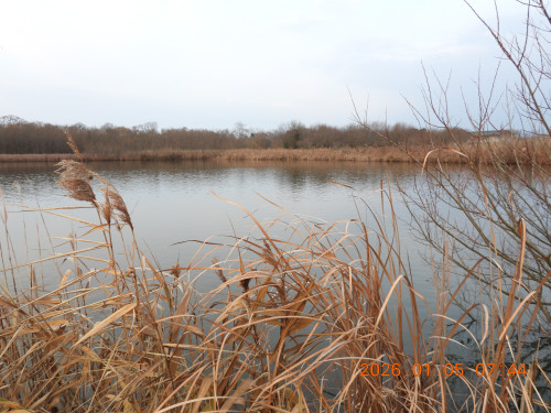 DSCN1438.JPG