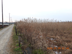 DSCN1439.JPG