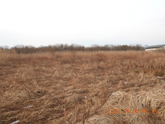 DSCN1440.JPG
