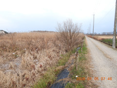 DSCN1441.JPG