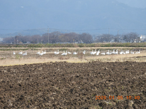 DSCN1447.JPG