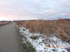 DSCN1454.JPG