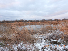 DSCN1455.JPG