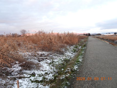 DSCN1456.JPG