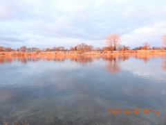 DSCN1461.JPG