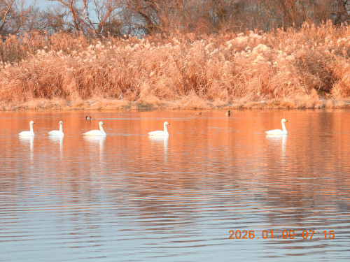 DSCN1463.JPG