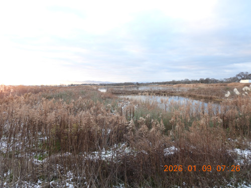 DSCN1470.JPG