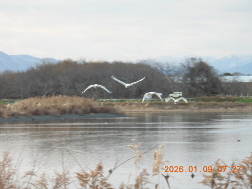 DSCN1472.JPG