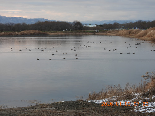 DSCN1477.JPG