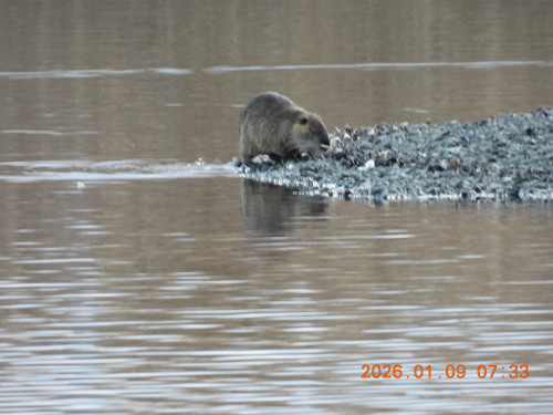 DSCN1478.JPG