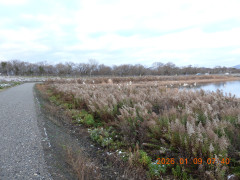 DSCN1488.JPG