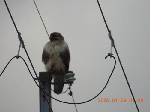 DSCN1491.JPG