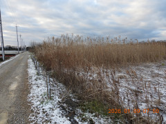 DSCN1493.JPG