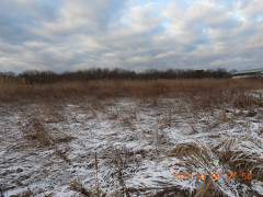 DSCN1494.JPG