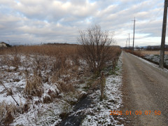 DSCN1495.JPG