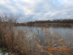 DSCN1496.JPG