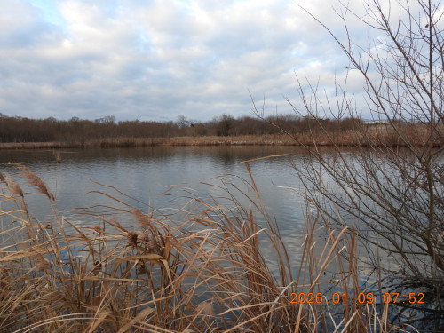 DSCN1497.JPG