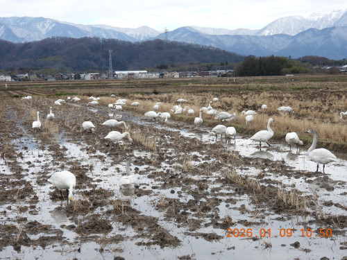 DSCN1503.JPG