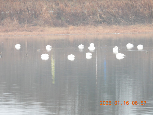 DSCN1512.JPG
