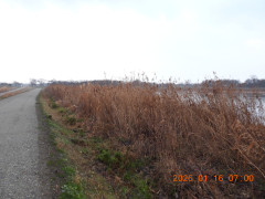 DSCN1514.JPG