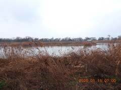 DSCN1515.JPG
