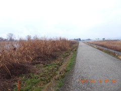 DSCN1516.JPG