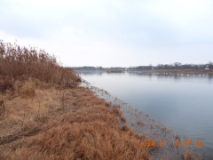 DSCN1518.JPG