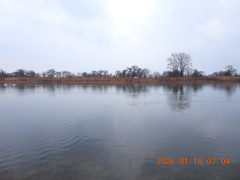 DSCN1519.JPG