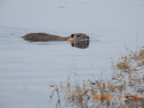 DSCN1521.JPG