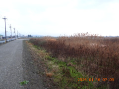 DSCN1522.JPG