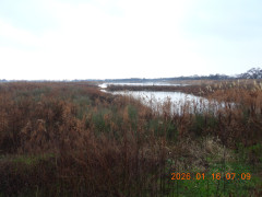DSCN1523.JPG