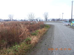 DSCN1524.JPG