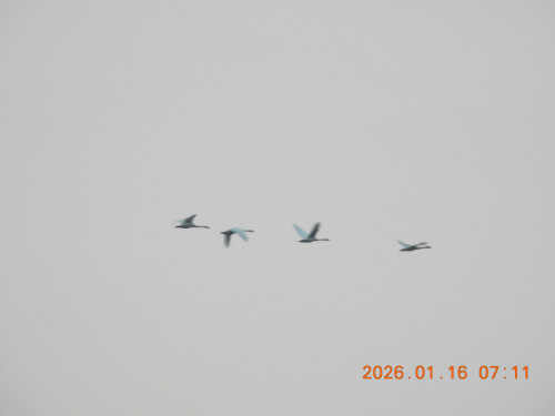 DSCN1527.JPG