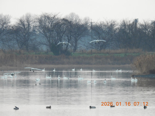 DSCN1528.JPG