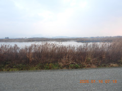 DSCN1530.JPG