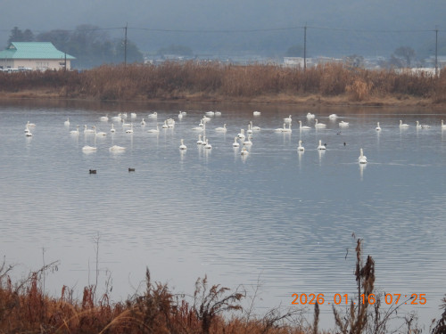 DSCN1540.JPG