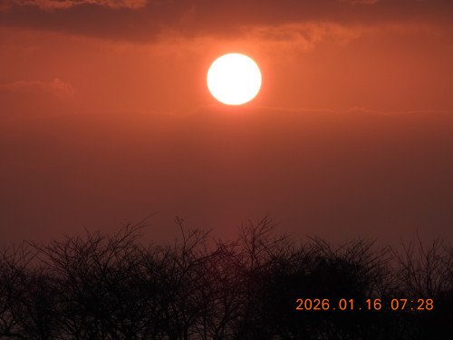 DSCN1542.JPG