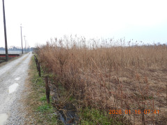 DSCN1547.JPG