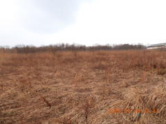 DSCN1548.JPG