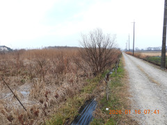 DSCN1549.JPG