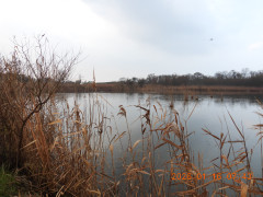 DSCN1550.JPG