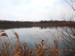 DSCN1551.JPG