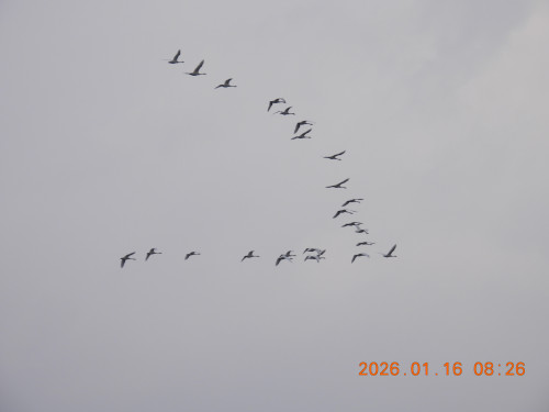 DSCN1557.JPG