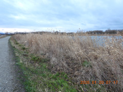 DSCN1568.JPG